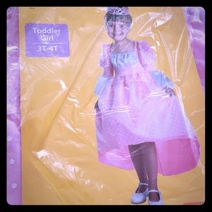 Princess Costume